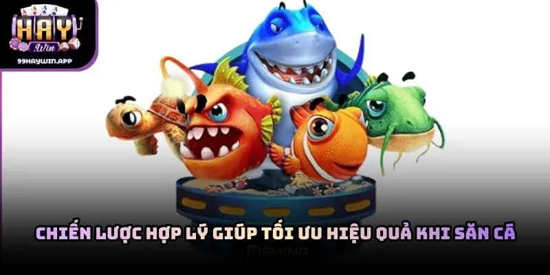 Chiến lược hợp lý giúp tối ưu hiệu quả khi săn cá