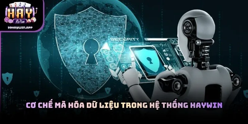 Minh họa cơ chế mã hóa dữ liệu trong hệ thống haywin