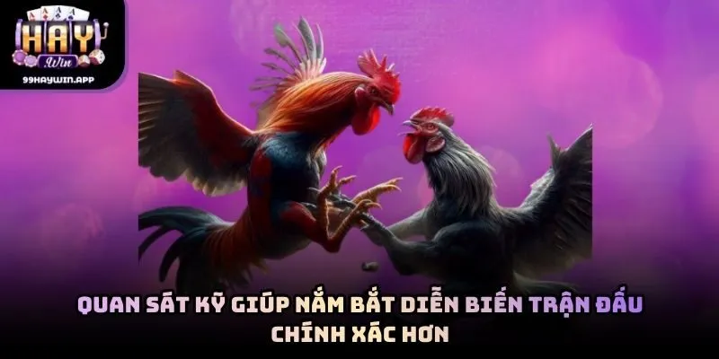Quan sát kỹ giúp nắm bắt diễn biến trận đấu chính xác hơn
