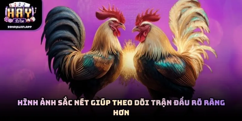 Hình ảnh sắc nét giúp theo dõi trận đấu rõ ràng hơn