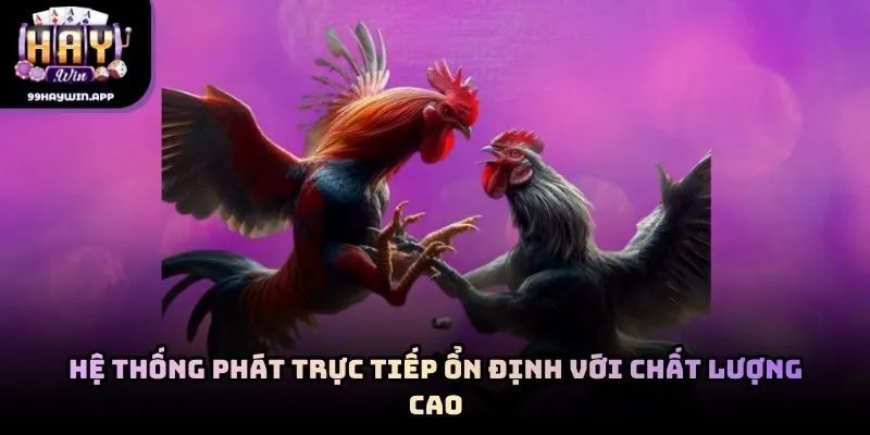 Hệ thống phát trực tiếp ổn định với chất lượng cao