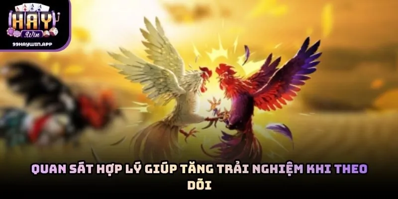Quan sát hợp lý giúp tăng trải nghiệm khi theo dõi