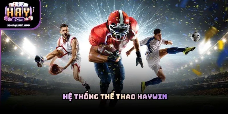 Tổng quan hệ thống thể thao haywin và các loại kèo phổ biến theo dữ liệu trận đấu