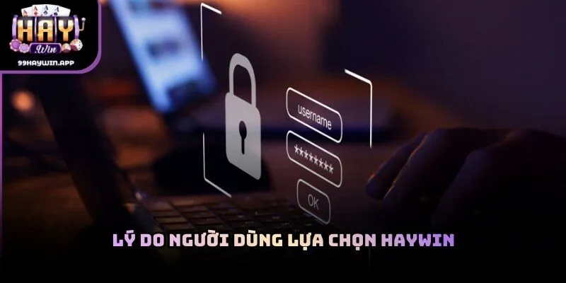 Lý do người dùng lựa chọn haywin nhờ hệ sinh thái đa dạng và vận hành ổn định