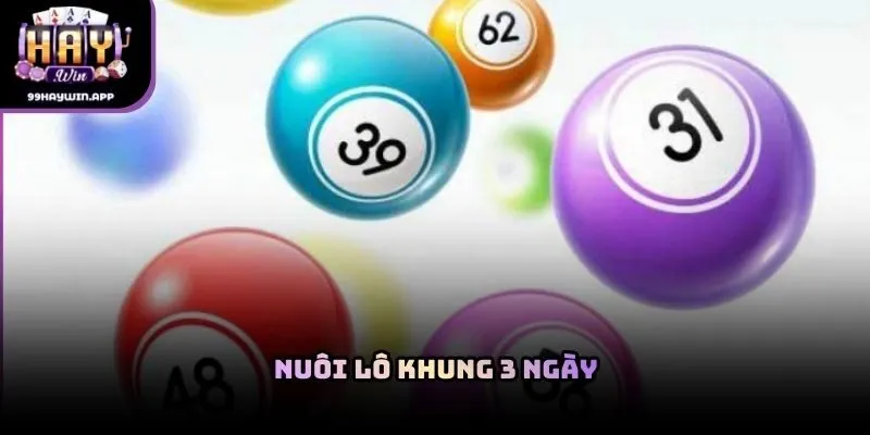 Nuôi lô khung 3 ngày