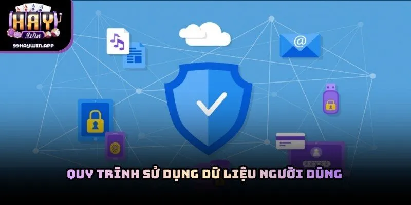 Quy trình sử dụng dữ liệu người dùng trong hệ thống haywin