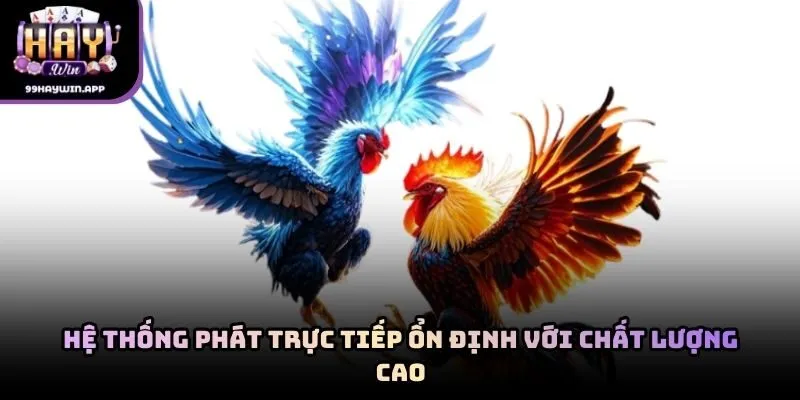 Hệ thống phát trực tiếp ổn định với chất lượng cao