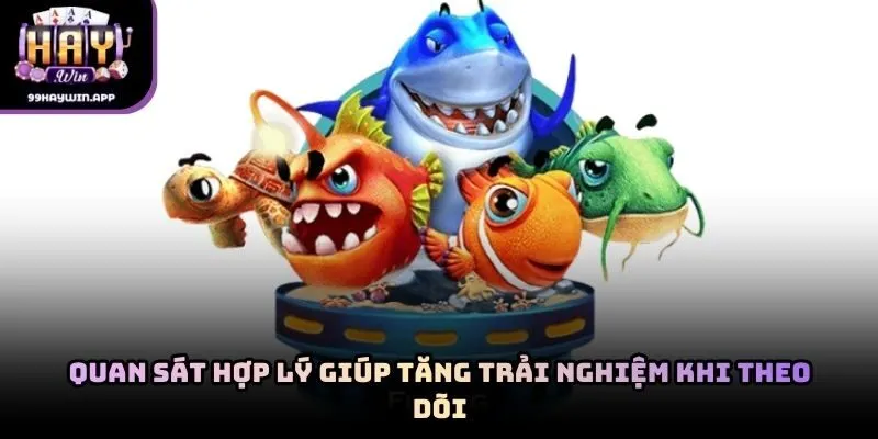 Quan sát hợp lý giúp tăng trải nghiệm khi theo dõi