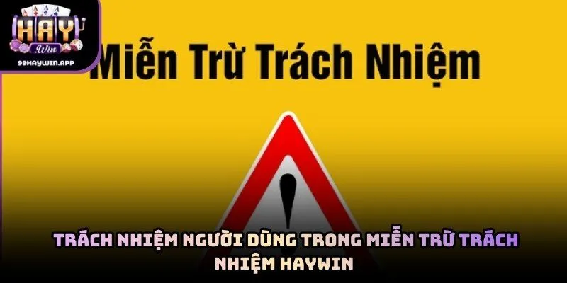 Minh họa trách nhiệm người dùng trong miễn trừ trách nhiệm haywin