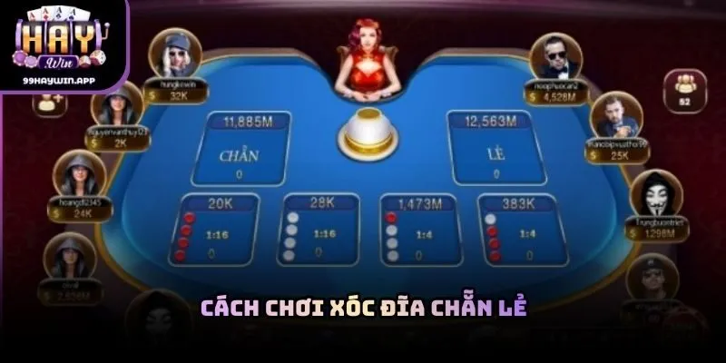 Cách chơi xóc đĩa chẵn lẻ
