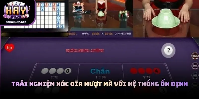 Trải nghiệm xóc đĩa mượt mà với hệ thống ổn định